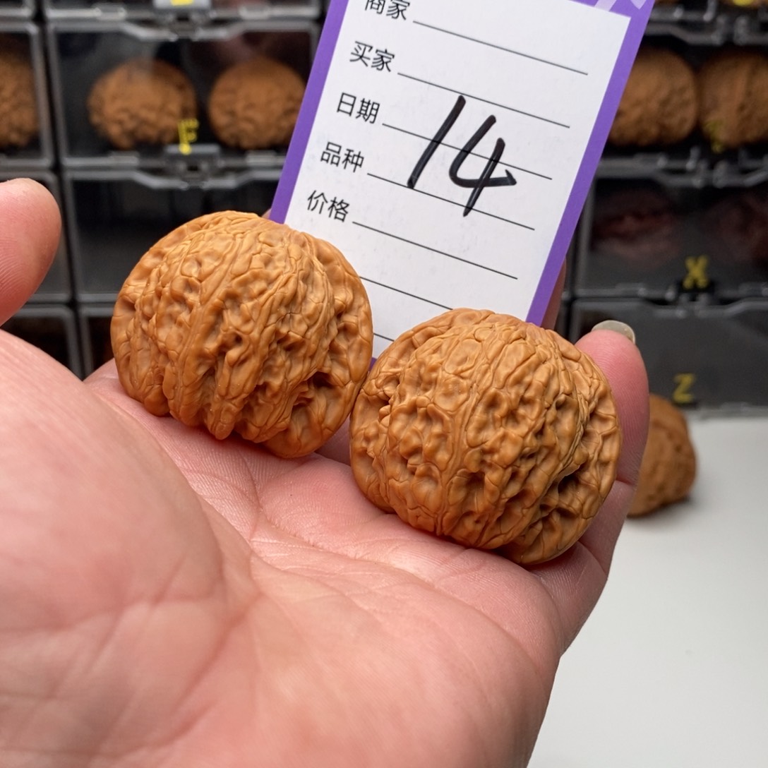 43全品泥鳅背狮子头