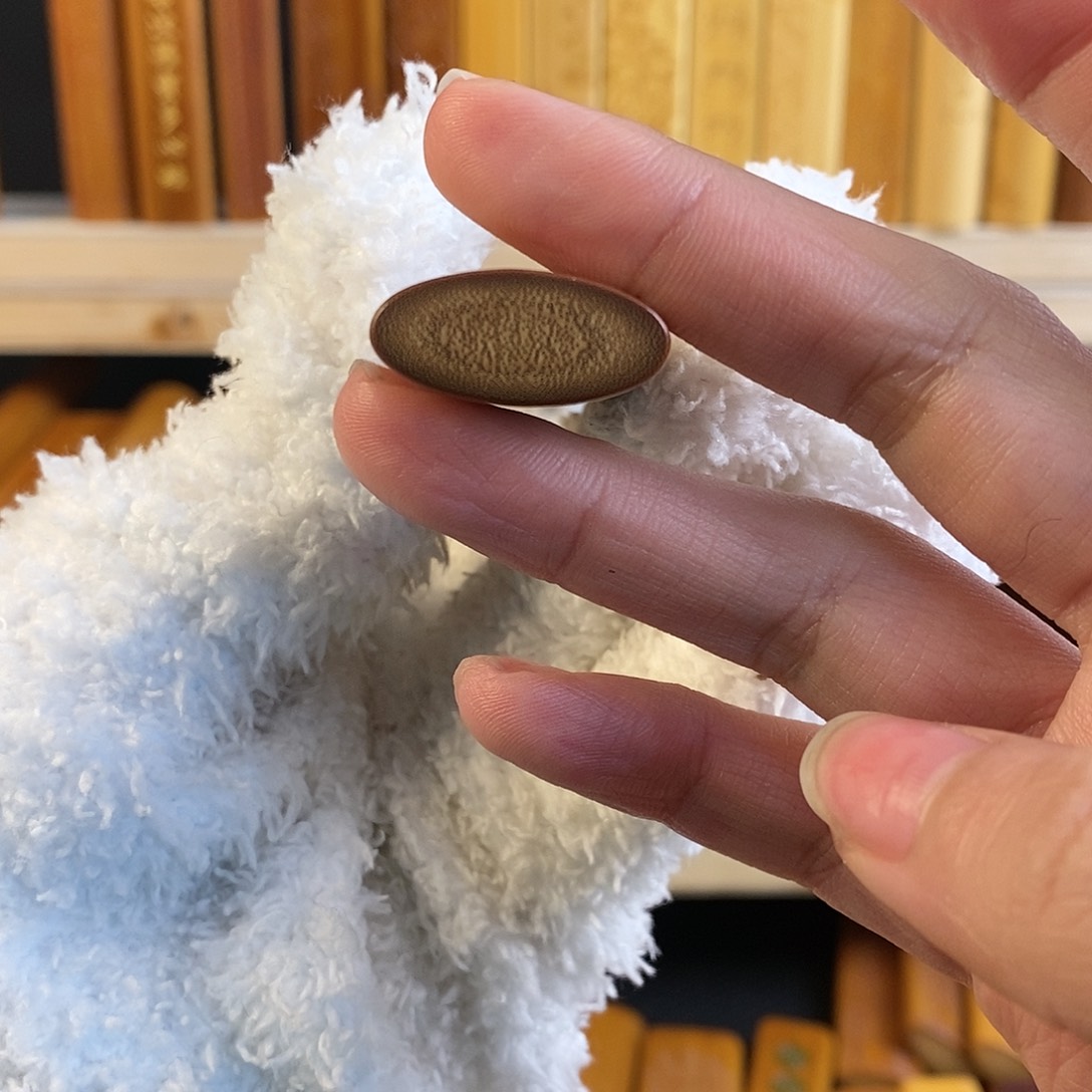 竹实心玉竹 一物一图