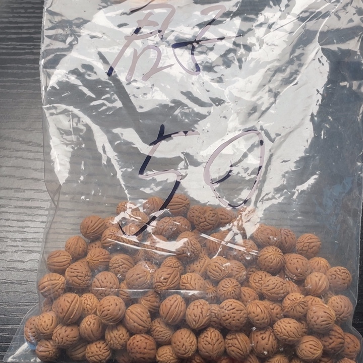 君***风小桃核散籽批发50