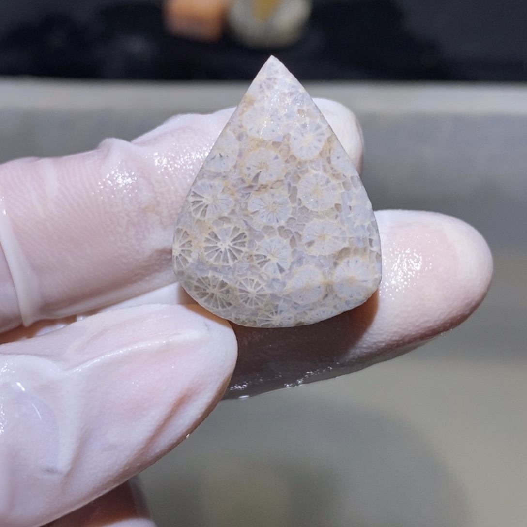 【闪购商品】未镶嵌珊瑚玉硅化玉