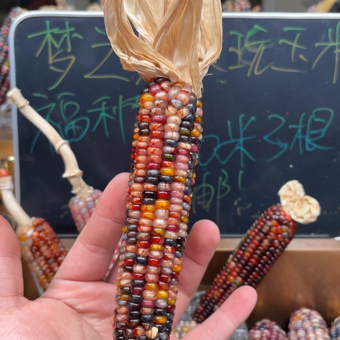 柏香籽/百香籽吊坠煦*