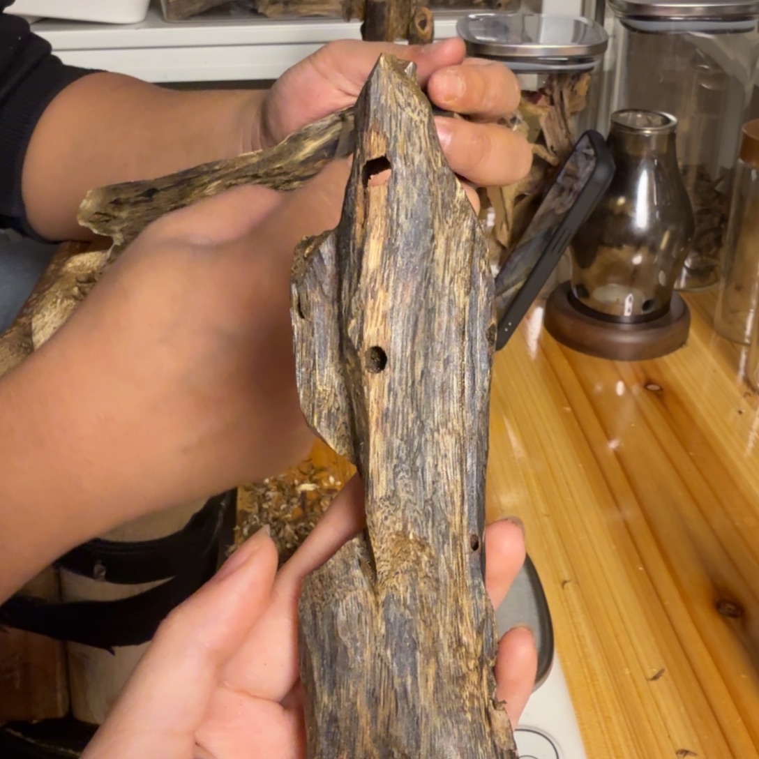 沉香紫奇虫漏香51克