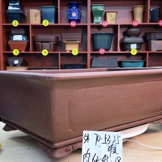 红陶海**音紫砂花盆里放的东西