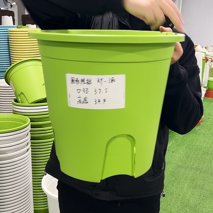 正品圆控口37高34果绿色5只无托