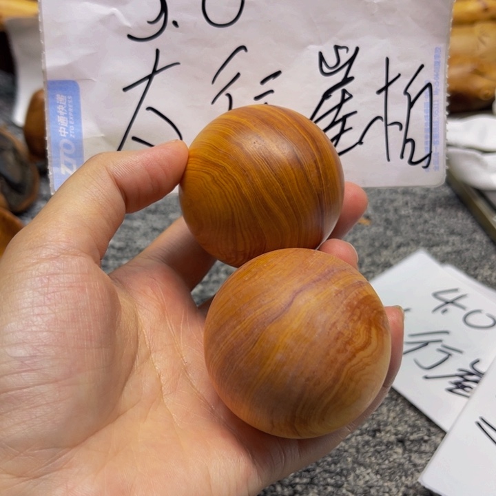 柏木（崖柏）崖柏10