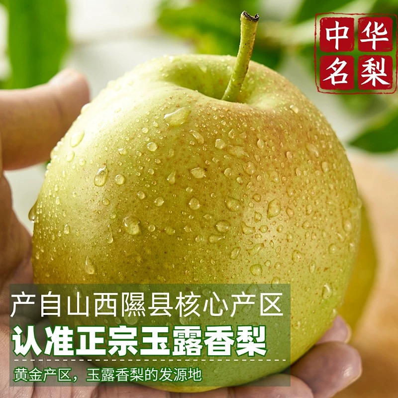 山西隰县玉露香梨脆甜多汁细腻化渣产地直发包邮