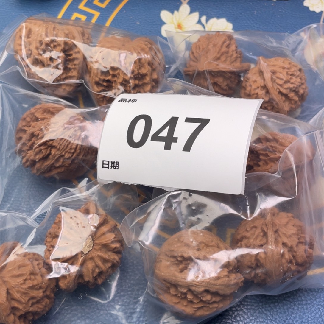 文玩核桃把件47号6对带霸王龙