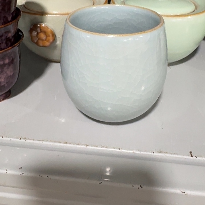 主人杯一个，瓷。。。