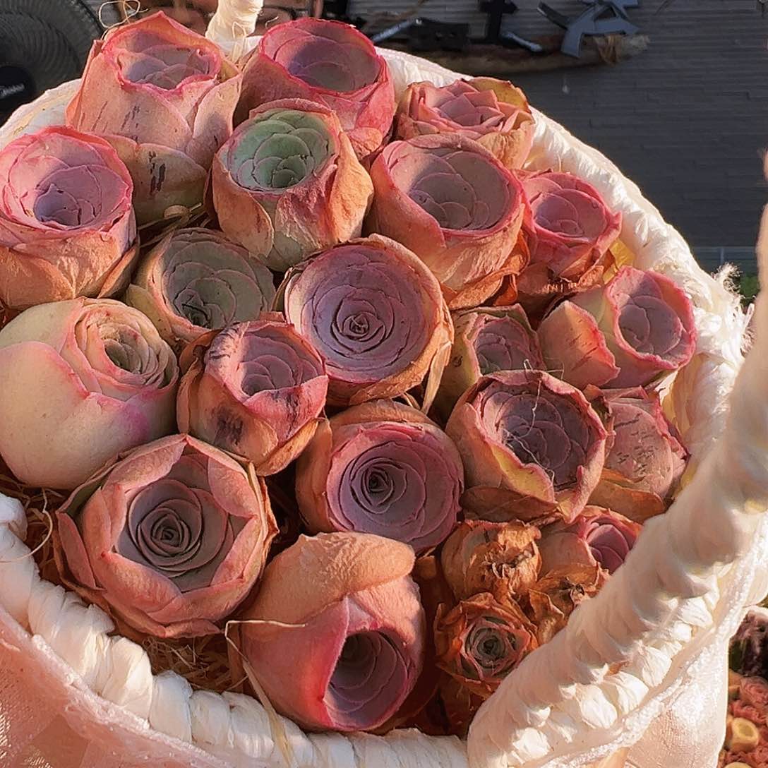 小****^小精品捡漏花篮。TT011.   