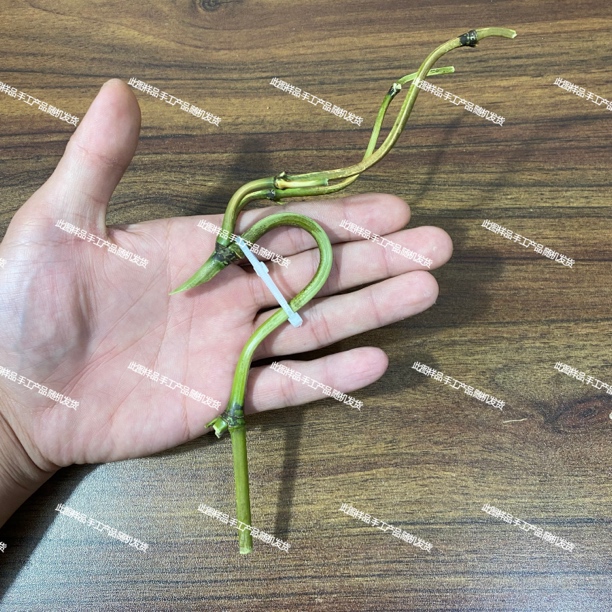 竹制龙头（随机发货 无损坏 不退不换 介意勿拍 ）小号未抛光不打孔