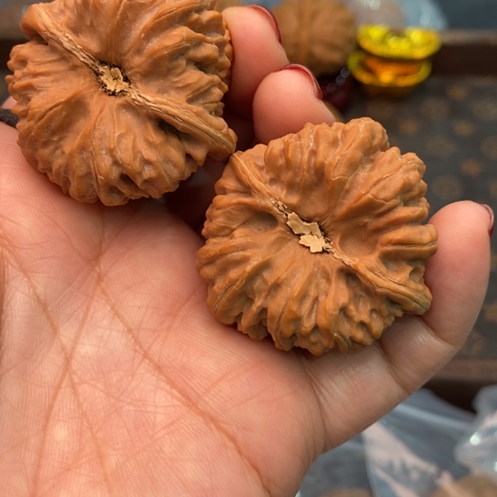 核桃凹底41尺核桃