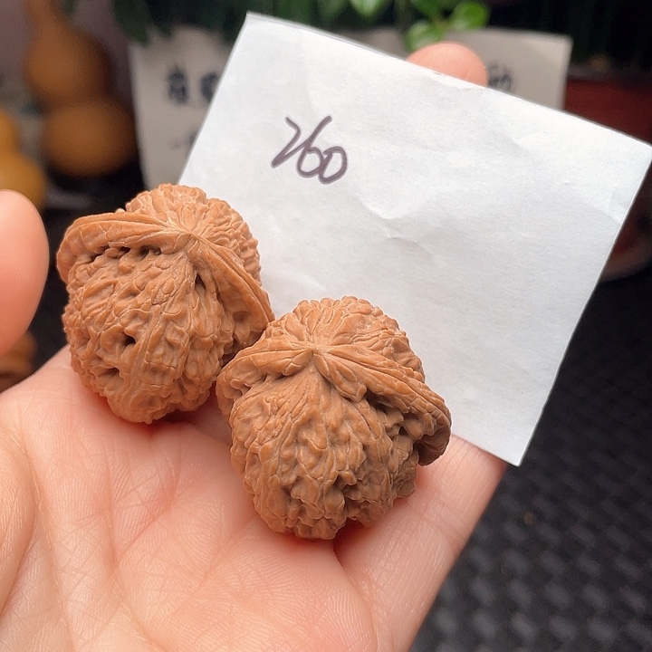 35尺寸白茬白狮子核桃