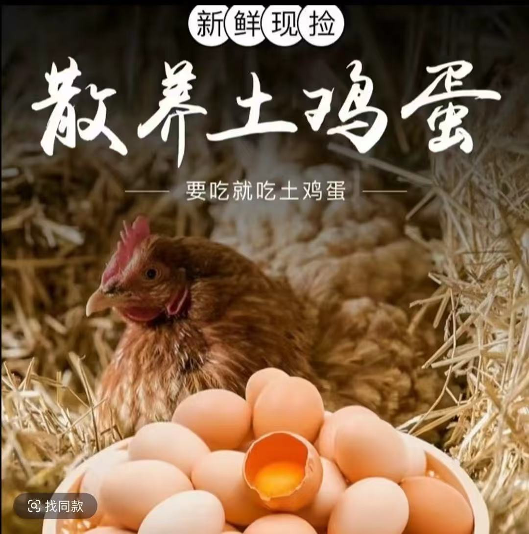 农家散养正宗土鸡蛋新鲜现捡营养谷物喂养整箱发货