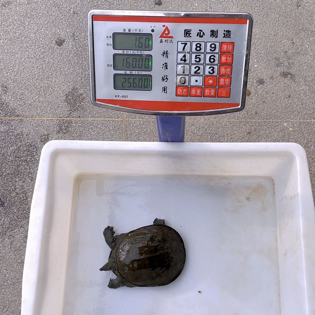 中国大陆4653756746745