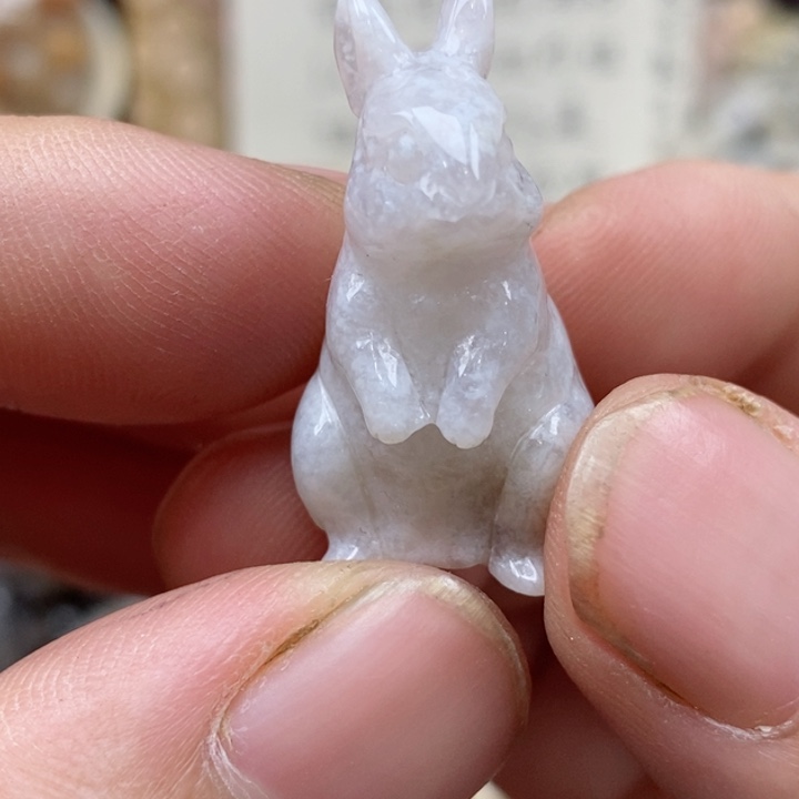 颈饰未镶嵌硅化珊瑚（珊瑚玉）