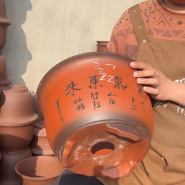 紫砂紫砂花盆盆栽