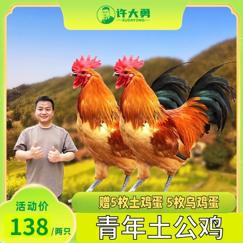 【许大勇】正宗散养青年土公鸡  两只装  顺丰包邮