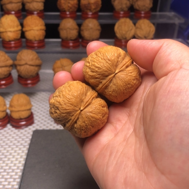 文玩核桃把件14 鹦鹉元宝