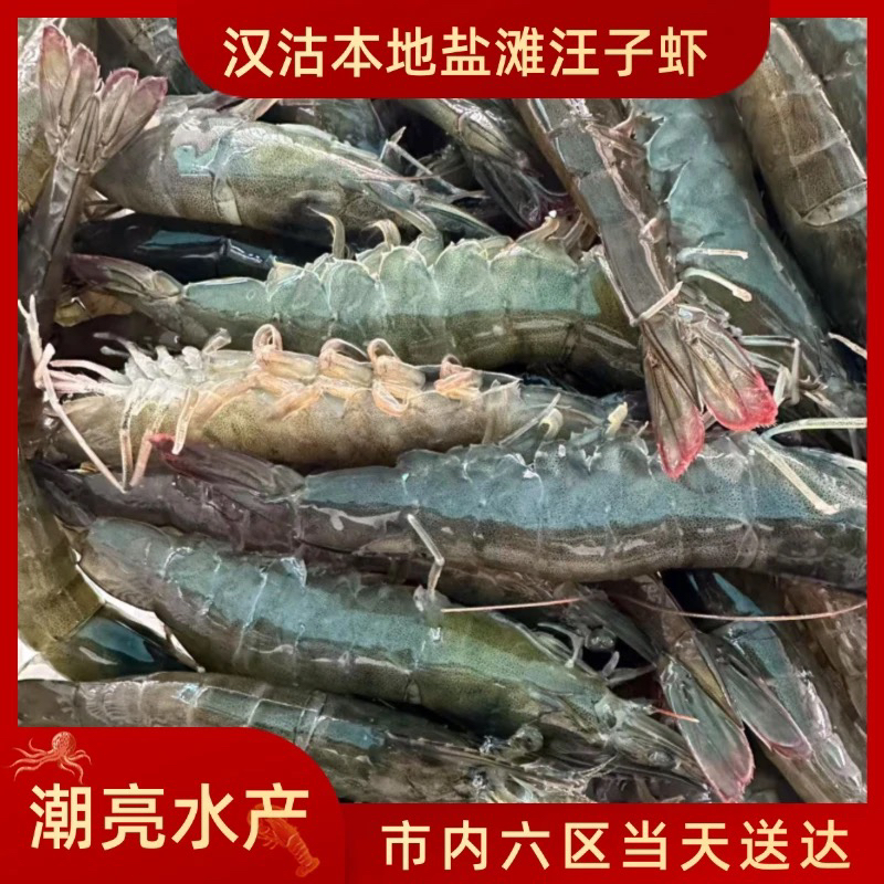汉沽盐田汪子虾【保鲜不保活】5-10斤，一斤18-20条左右
