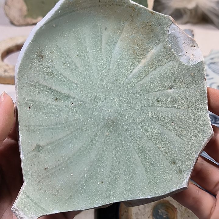 瓷片瓷片瓷片瓷片瓷片