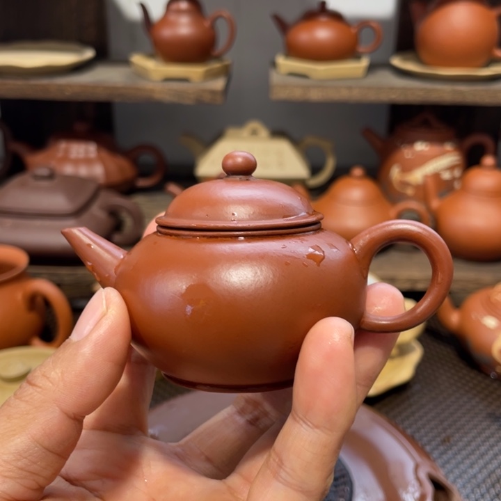 水***哥茶壶紫砂这种天气适合出去