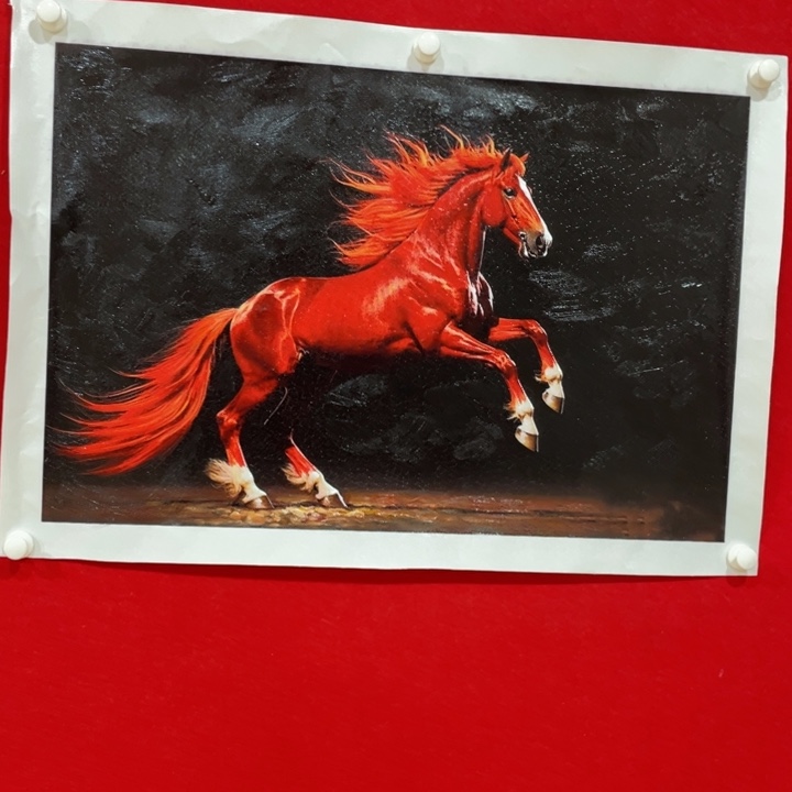 强*日新画作欣赏作品