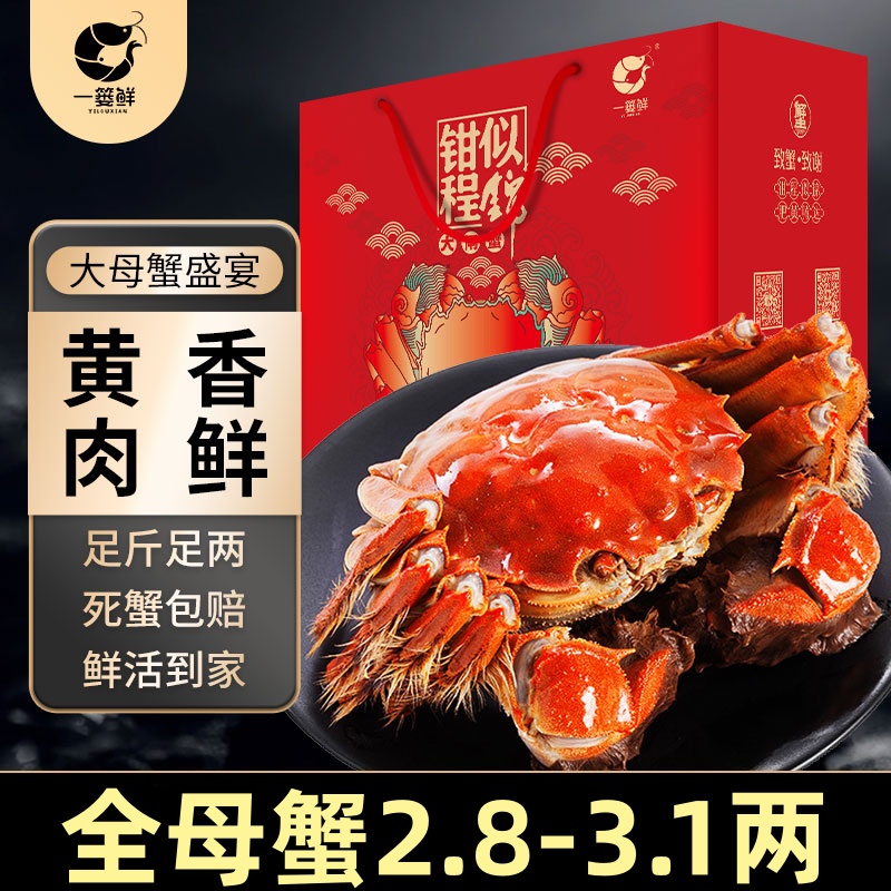 【活蟹现货】精品苏州大闸蟹全母蟹（2.8-3.1两/只） 6只装 8只装 