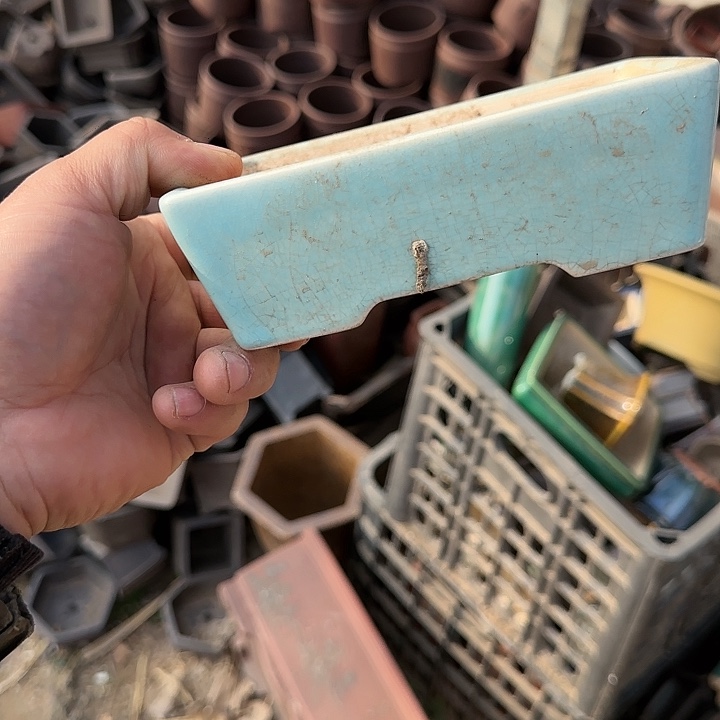 是一个不知名作家与著名导演兼电影演员们之间互相