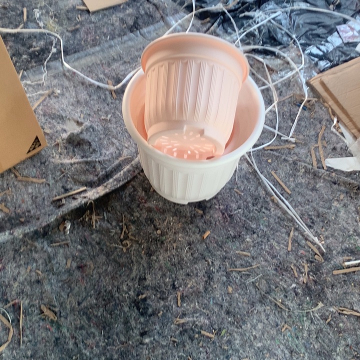 梦*?21口罗马粉色带拖4个