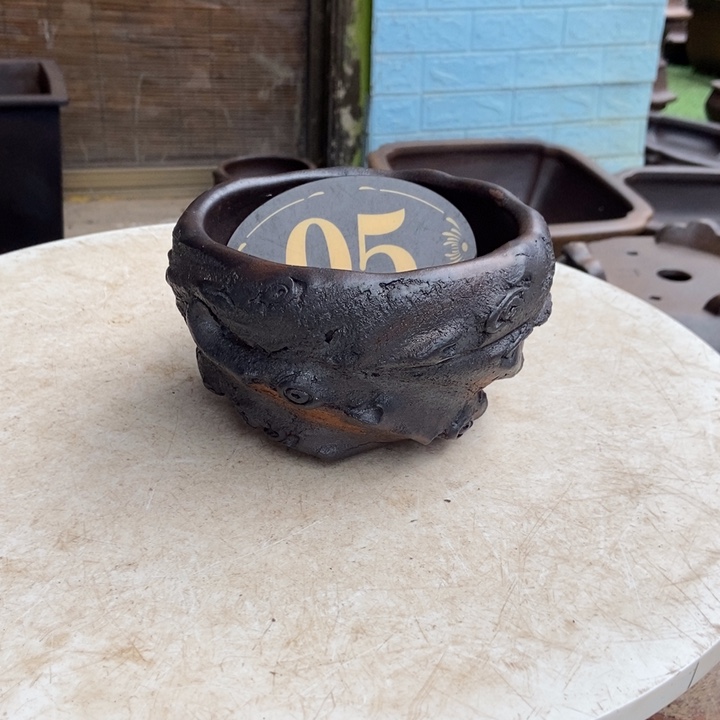 今***天杨冬益紫砂花盆46789