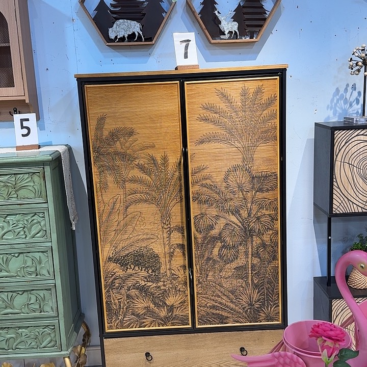 有机玻璃铁木柜子