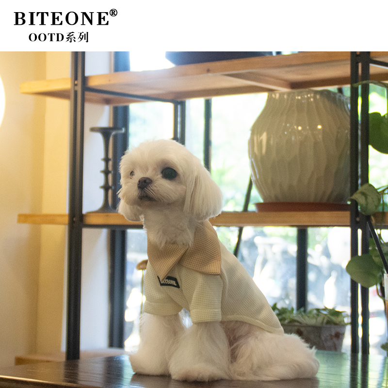 BITEONE【OT25015】猫咪狗狗衣服老钱休闲风2025年秋冬新款