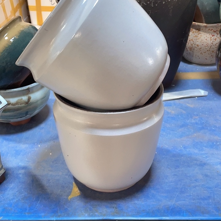 正品20/20两个处理