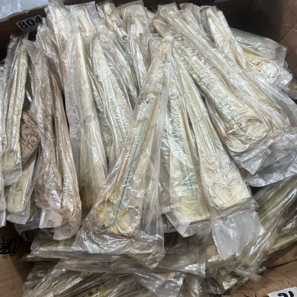 【055】70年代直圆剪刀