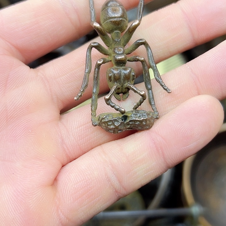 铜铜铜器直播间铜