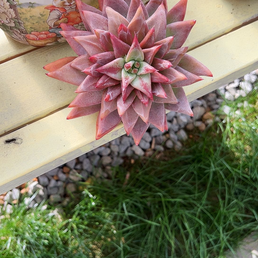 圣徒圣徒圣徒圣徒圣徒