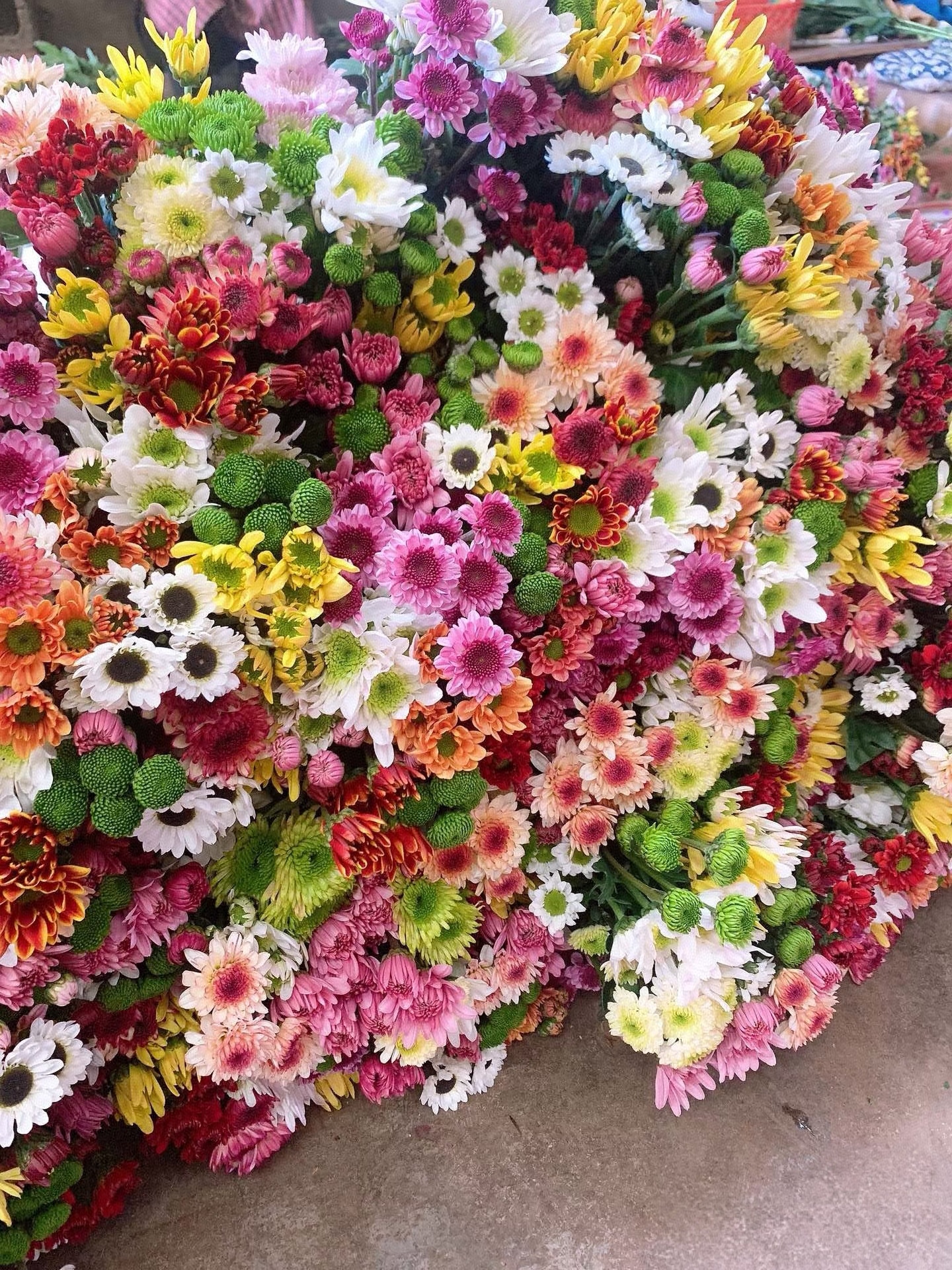 【混色小雏菊】鲜花适合家居办公室水养插花鲜切花基地采摘直发