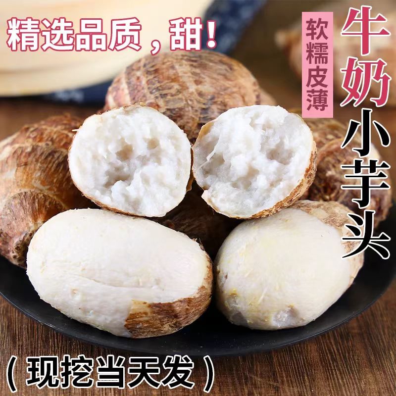云南自种新鲜现挖牛奶小芋头软糯香甜当季蔬菜