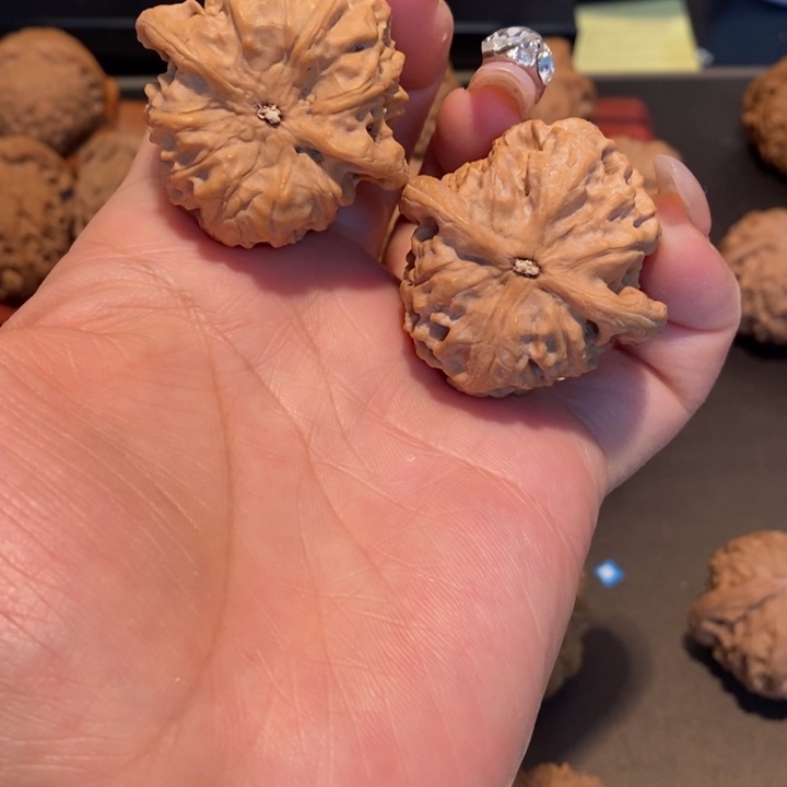 桃核吊坠?**多39半野狼