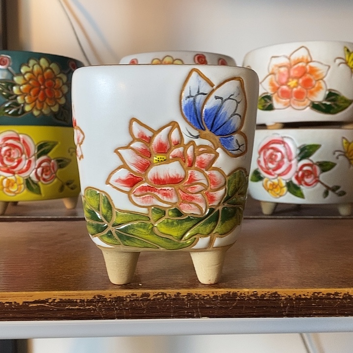 韩式多肉植物花盆