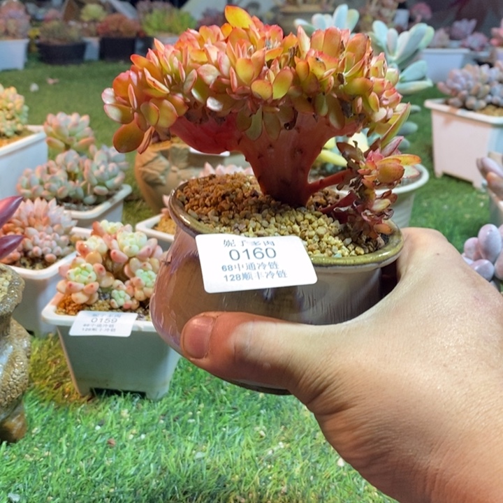 L***I0160啊啊啊啊啊啊啊啊啊啊啊