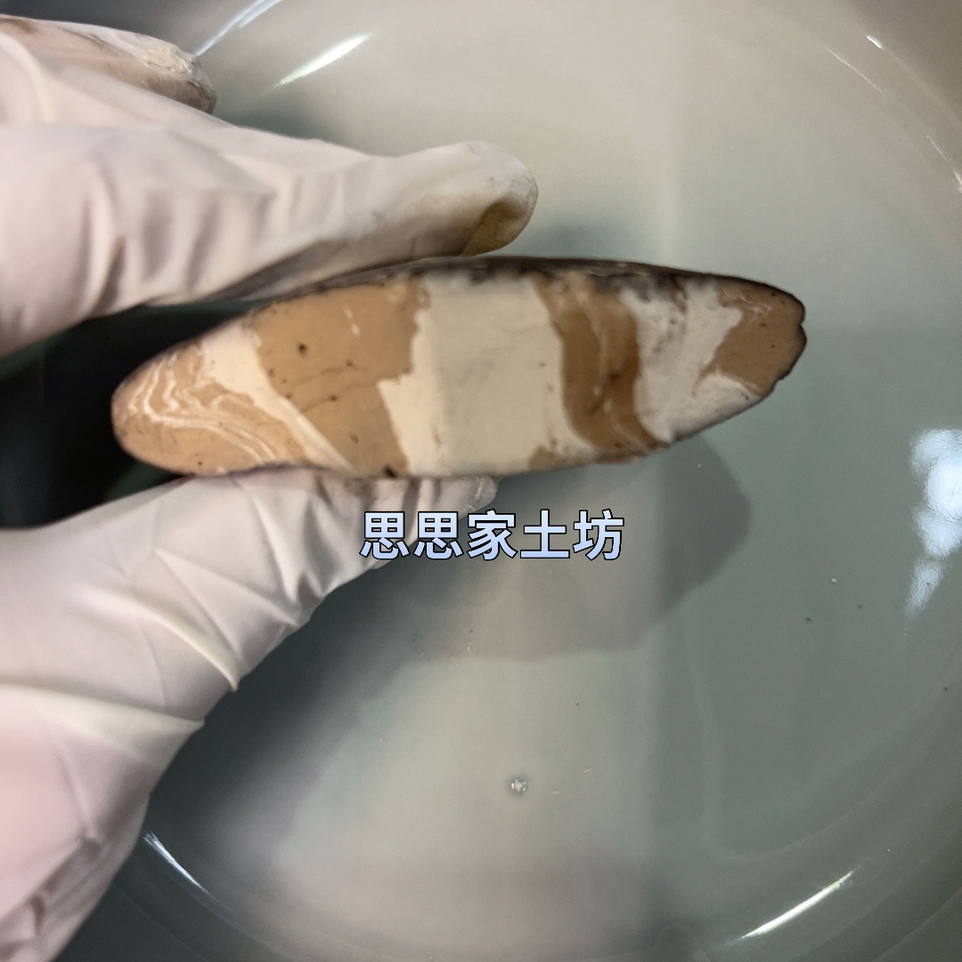 思思家升级版车轮饼营养土 优质土块