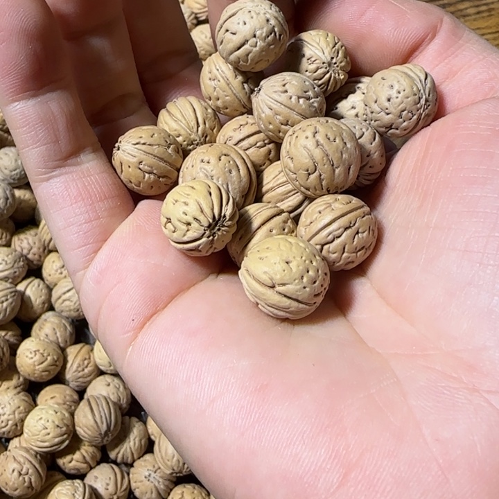 一***肆吊坠桃核盘锦小奶豆