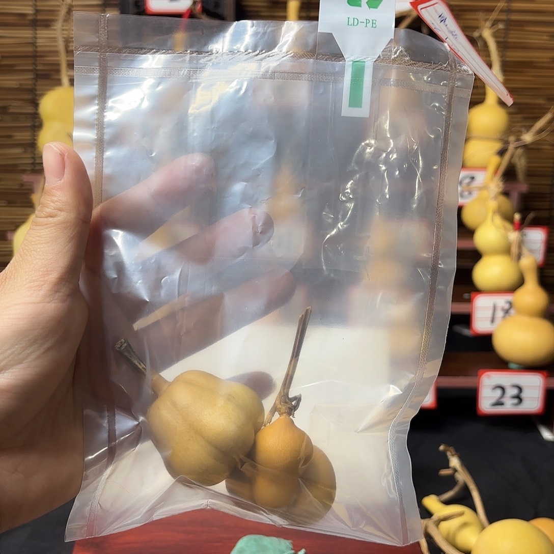 看好下单不退不换