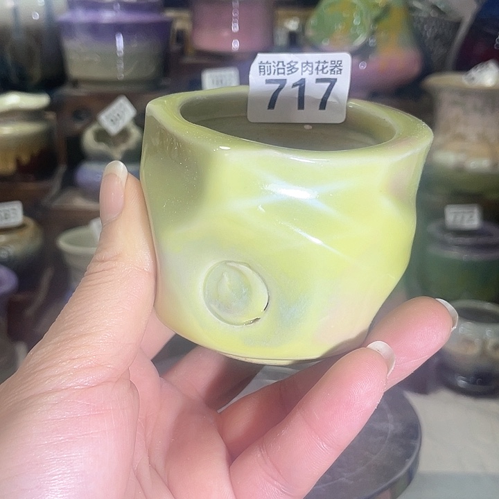 红陶内口径5高度5