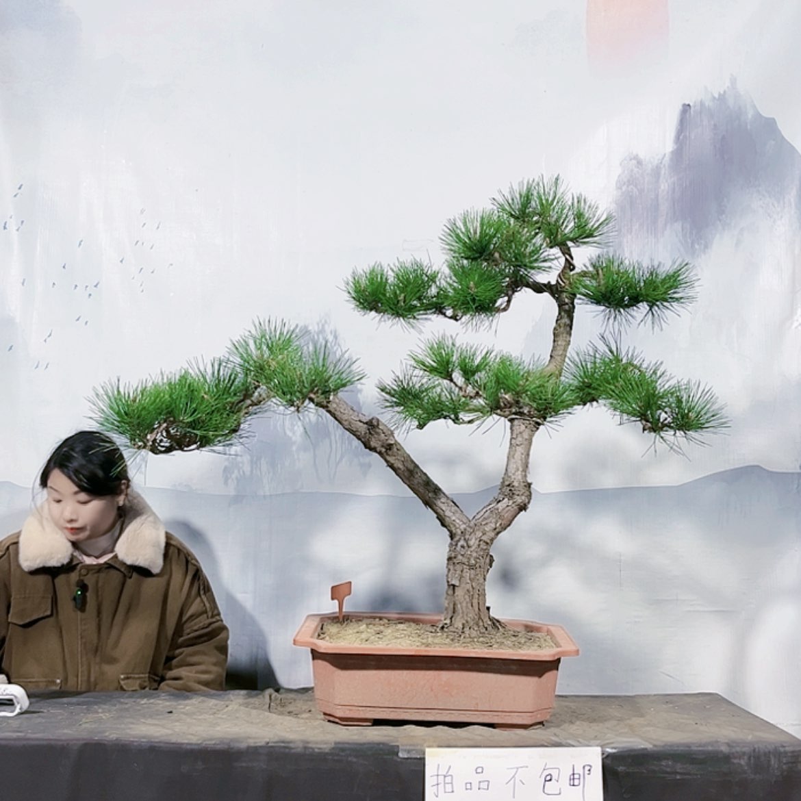 【闪购商品】无花朵运费到付