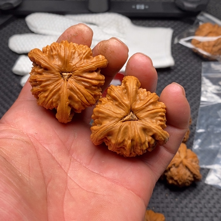 核桃把件超*，拼接白狮子14