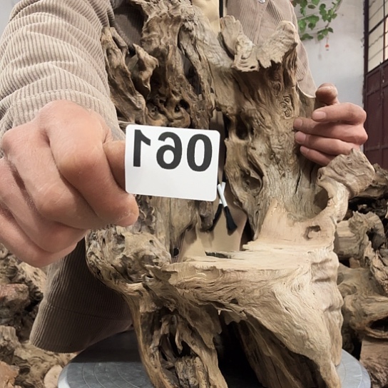 傅*紫砂噜啦啦啦啦啦啦