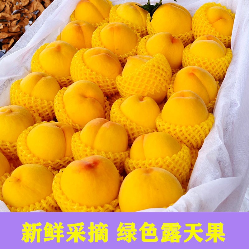 中国邮政专场 湖北黄桃黄金蜜非锦绣当季现摘新鲜水果桃子