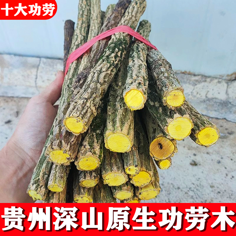 贵州十大功劳木切片土黄柏刺黄柏黄天竹木土黄连片干货